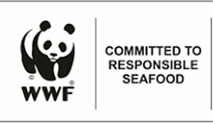 Certification /About Us/image 85.png